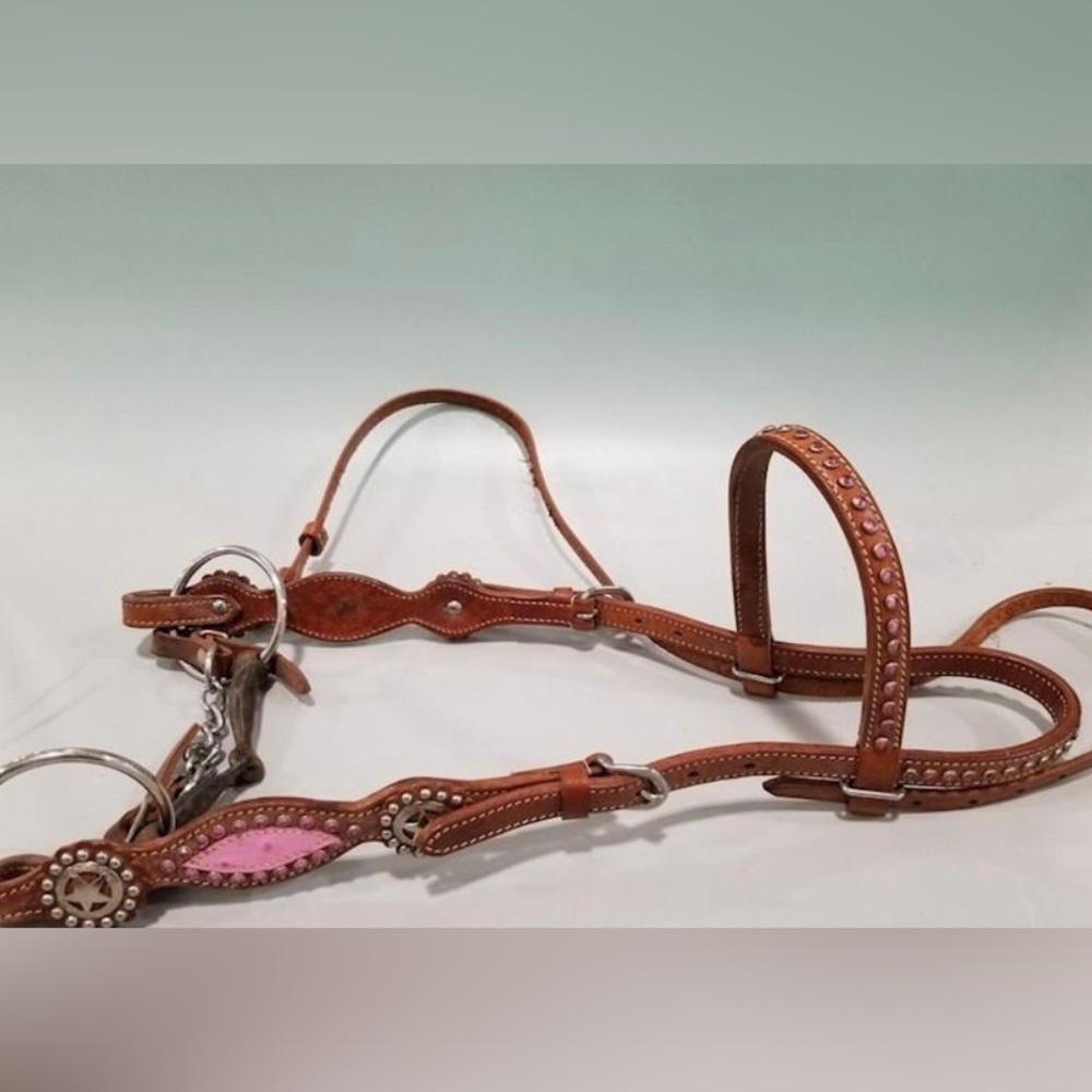 Leather bridle with two bits pink accents